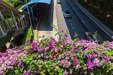 科学ADV《机器人笔记》发售10周年 官方公开贺图